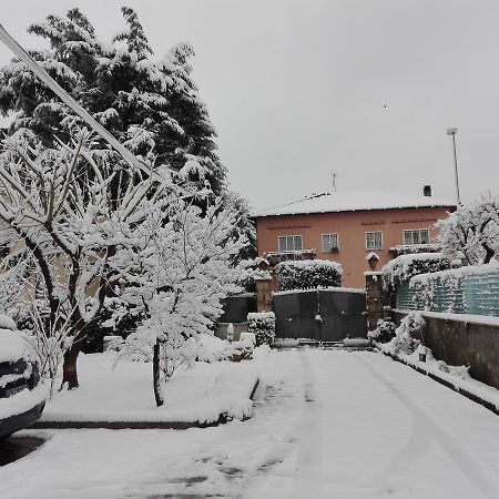 Al Vecchio Olivo Bed & Breakfast Frascati Bagian luar foto