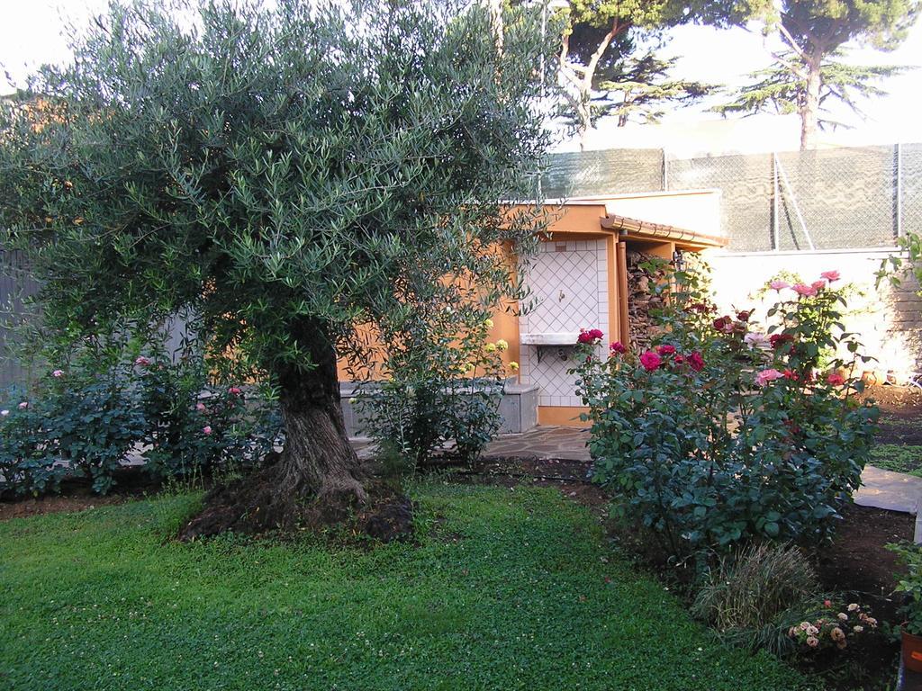 Al Vecchio Olivo Bed & Breakfast Frascati Bagian luar foto