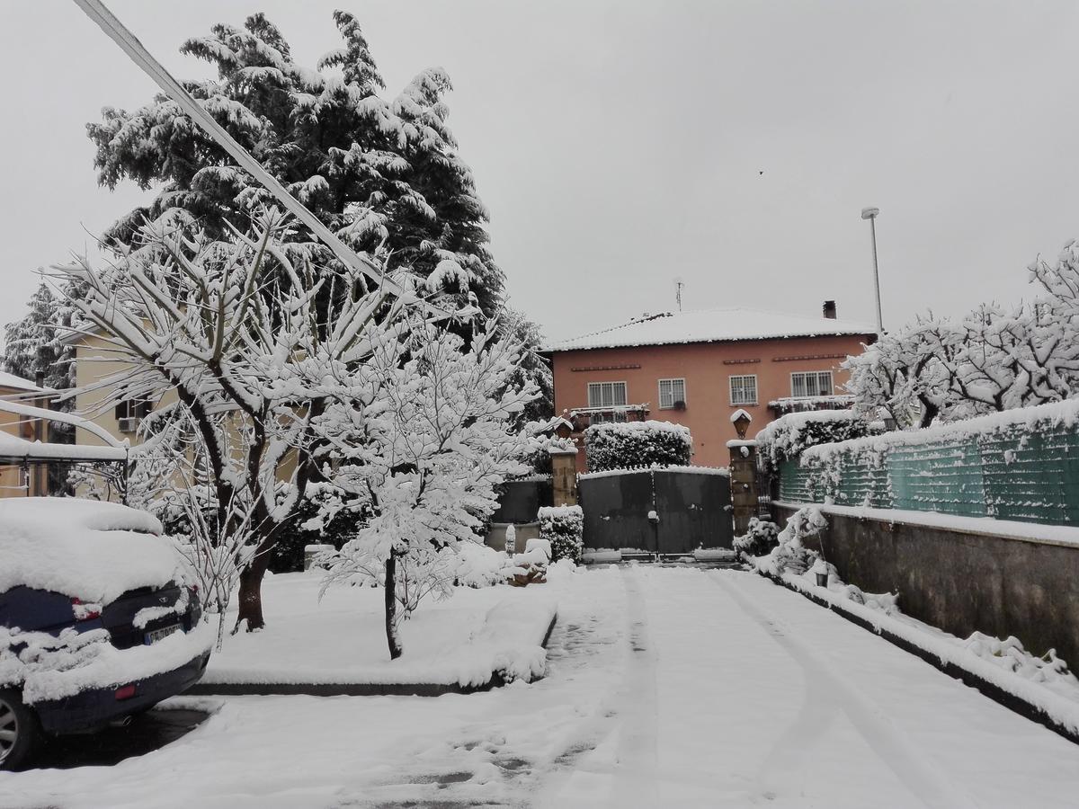 Al Vecchio Olivo Bed & Breakfast Frascati Bagian luar foto