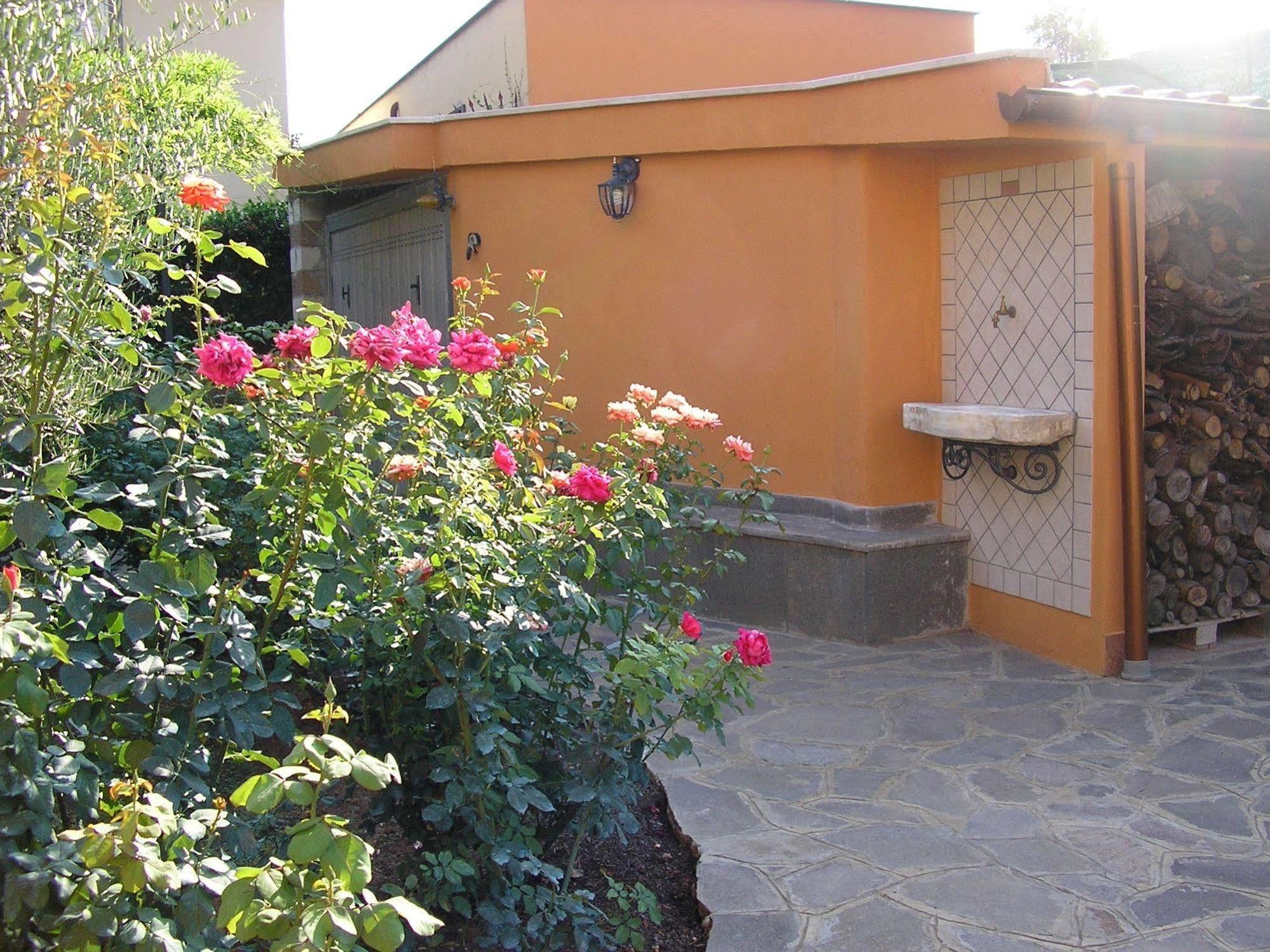Al Vecchio Olivo Bed & Breakfast Frascati Bagian luar foto