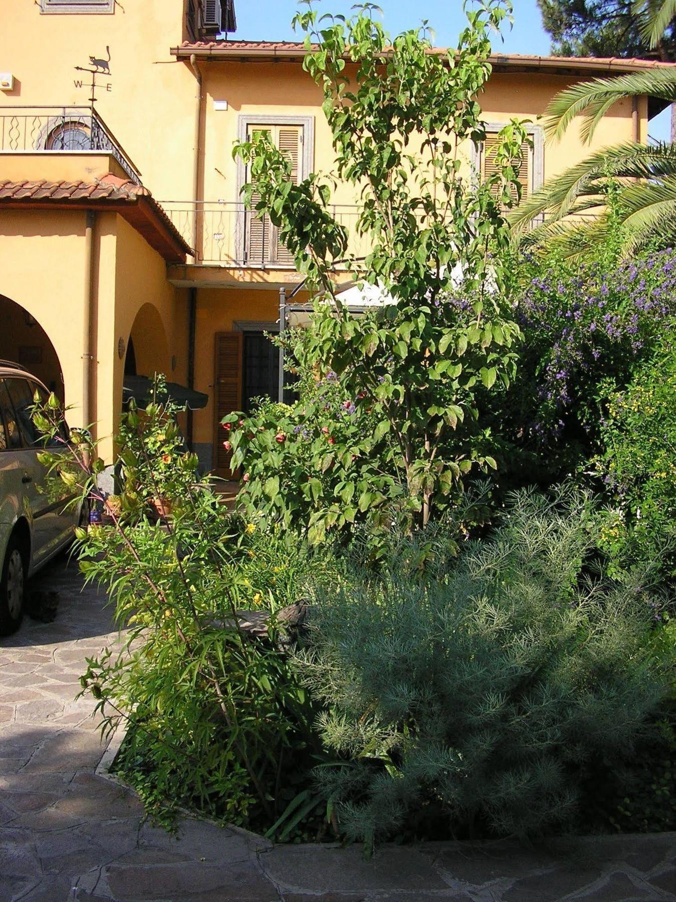 Al Vecchio Olivo Bed & Breakfast Frascati Bagian luar foto