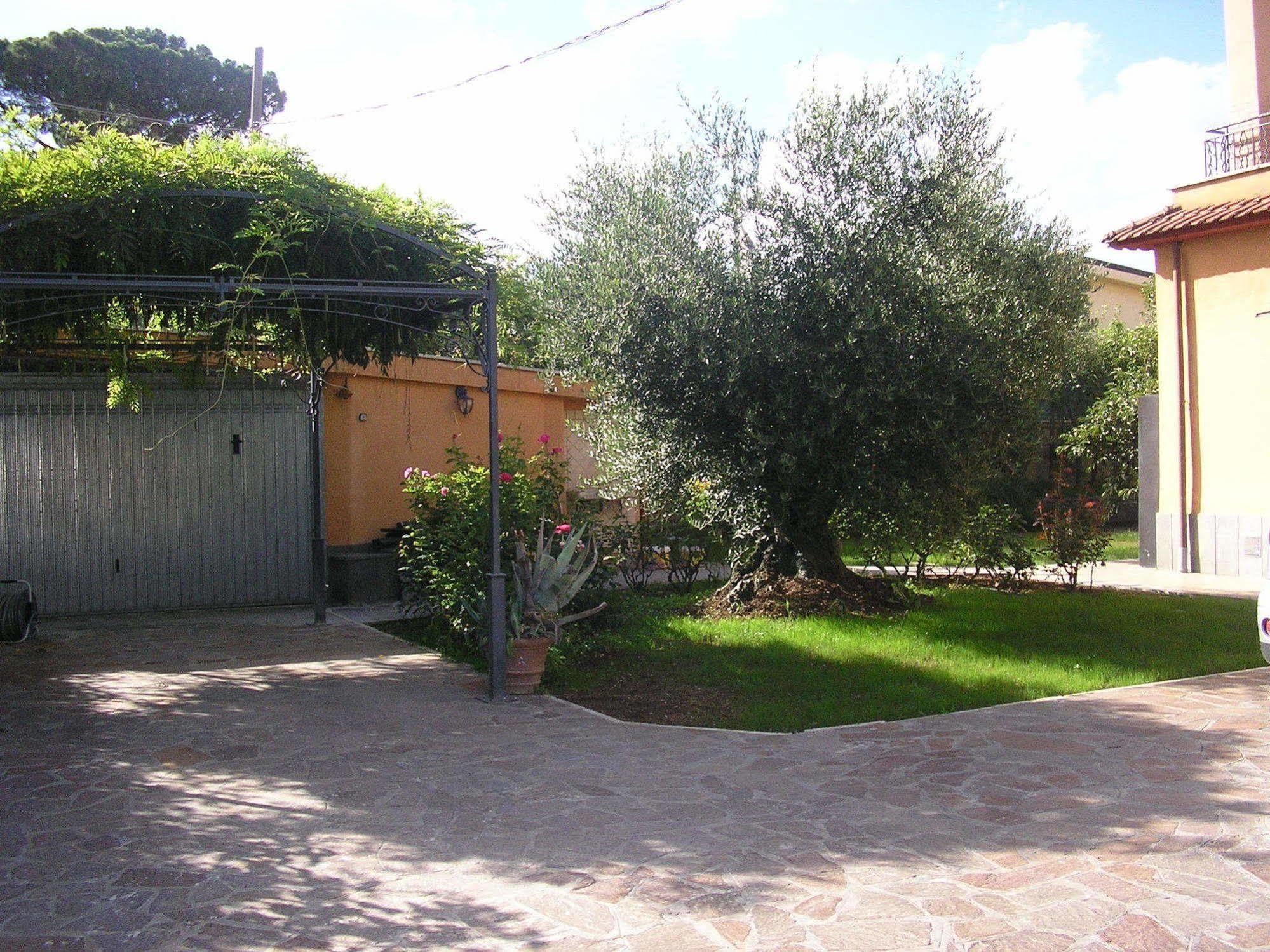 Al Vecchio Olivo Bed & Breakfast Frascati Bagian luar foto